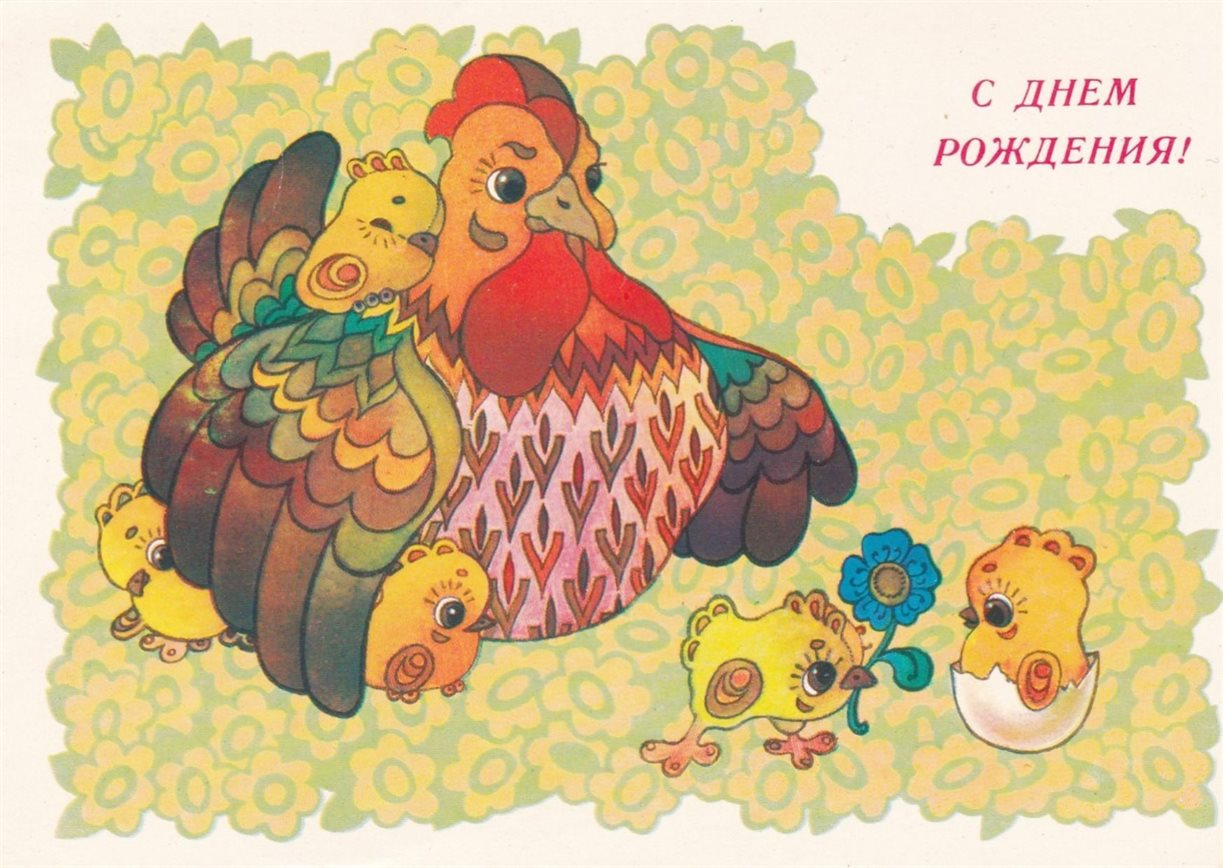 43