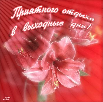 79