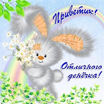 91