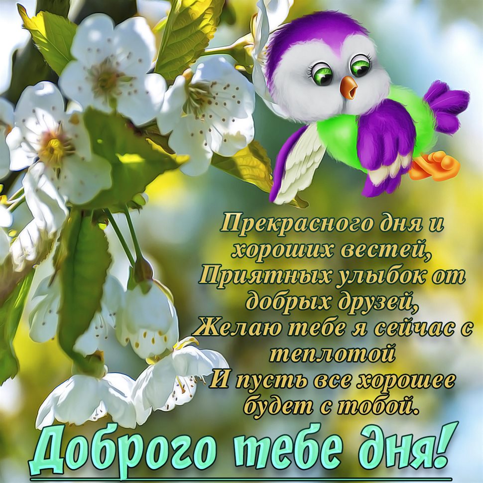 93