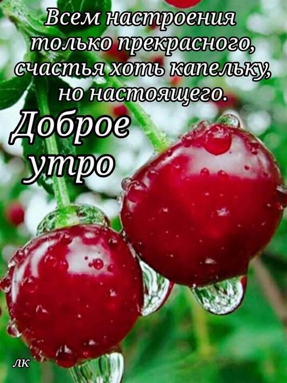 70
