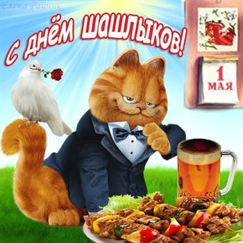 53