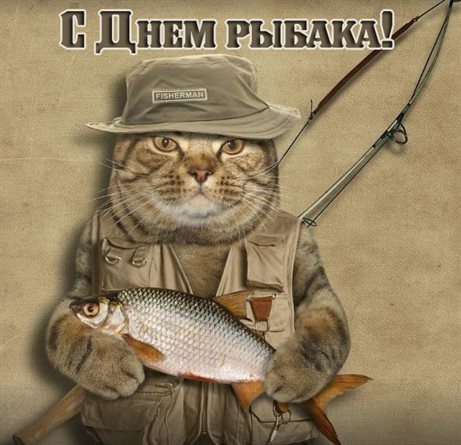 54