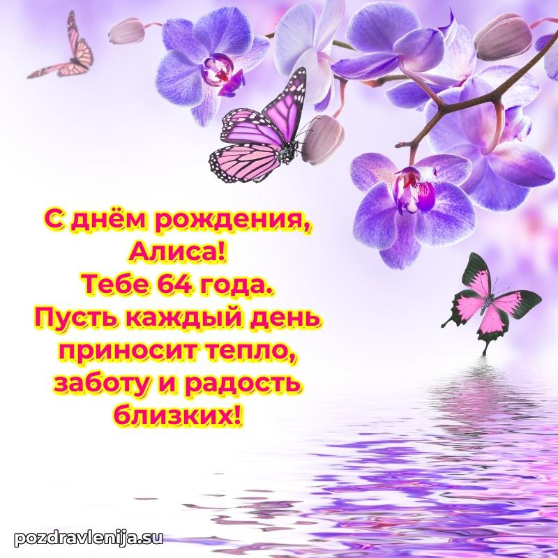 Современная открытка поздравление Алисе с Днем Рождения на 64 года