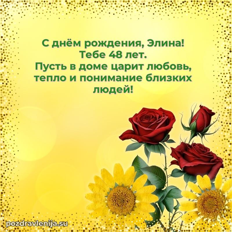 Элине 48 лет
