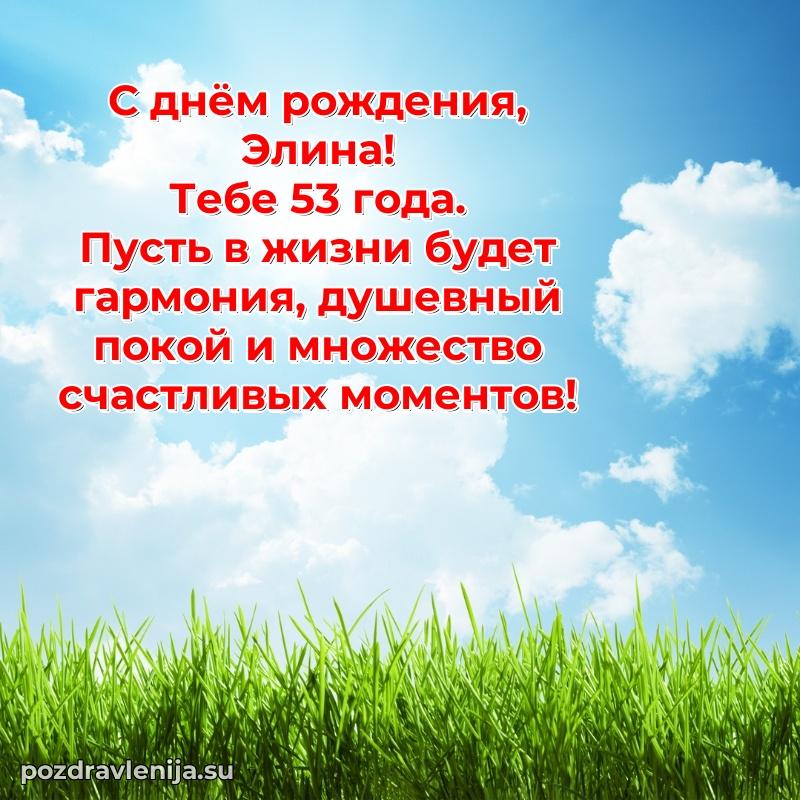Элине 53 года