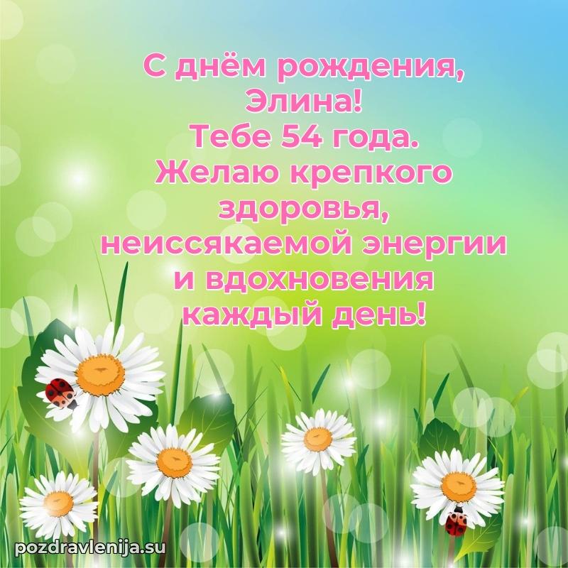 Элине 54 года