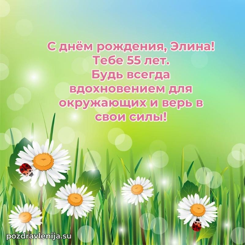 Элине 55 лет