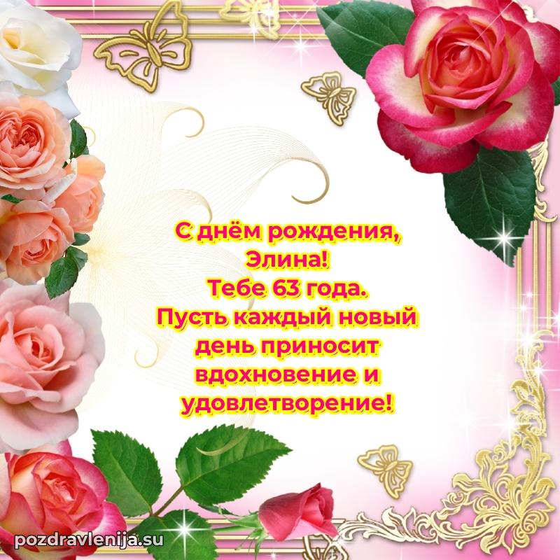 Картинка с юбилеем Элине 63 года прикольная
