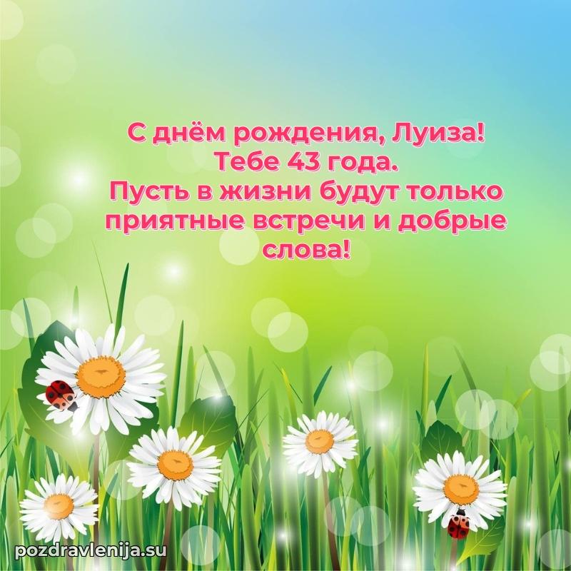 Открытка с Днем Рождения Луизе 43 года