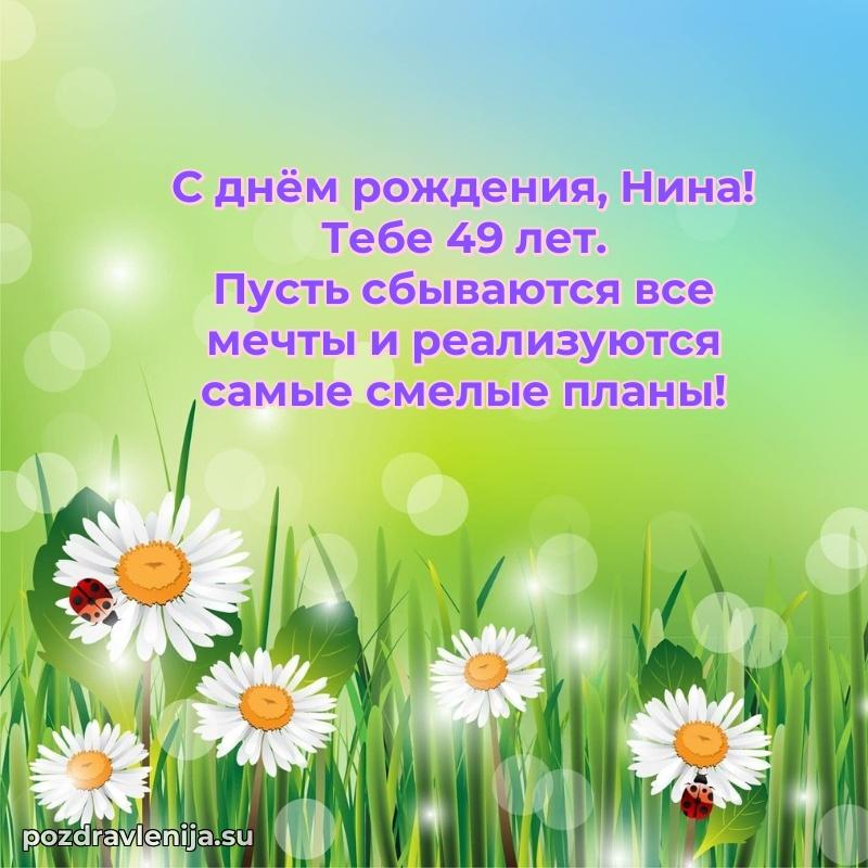 Открытка с Днем Рождения Нине 49 лет