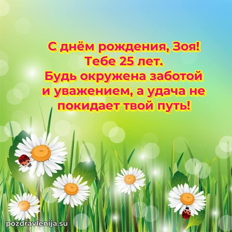 Картинка с юбилеем Зое 25 лет прикольная