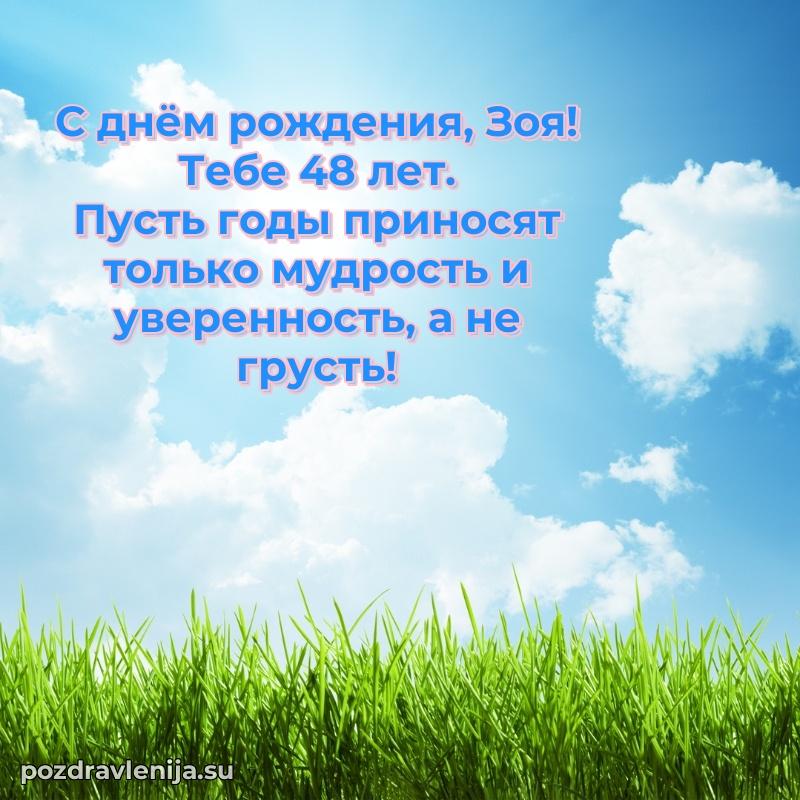 Картинка с юбилеем Зое 48 лет прикольная