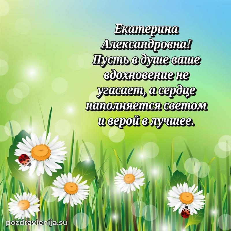 Екатерина Александровна коллега поздравление с днем рождения