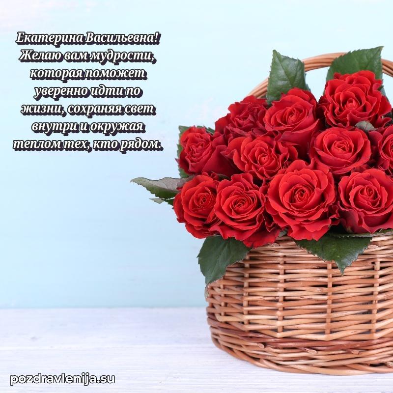 Екатерина Васильевна коллега поздравление с днем рождения