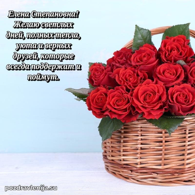 Елена Степановна коллега поздравление с днем рождения